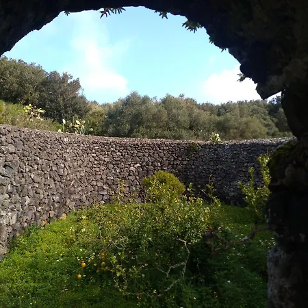 2 Gatti - Sogno Siba