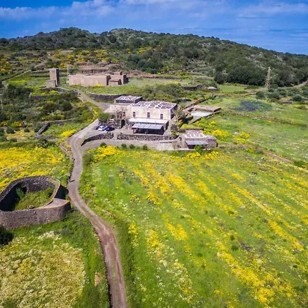 2 Gatti - Sogno 4*