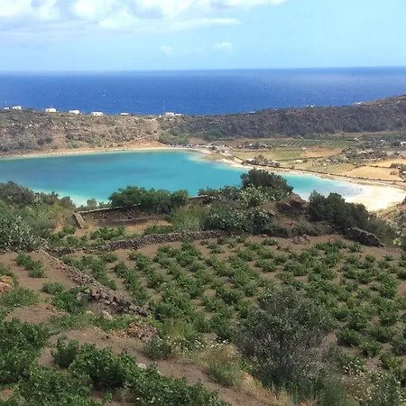 2 Gatti - Sogno Siba