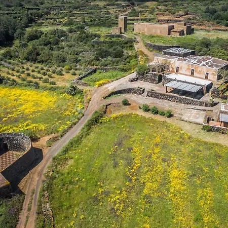 2 Gatti - Sogno Siba