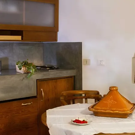 2 Gatti - Sogno Siba