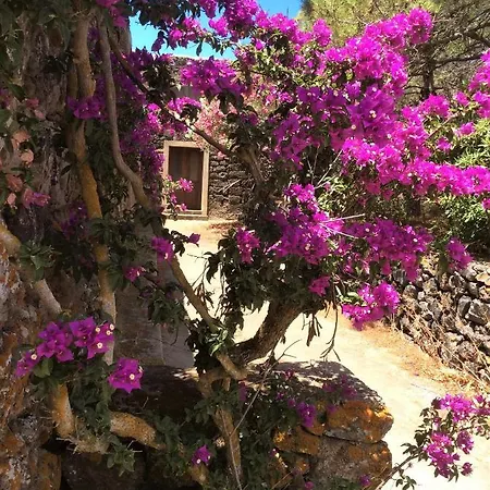 2 Gatti - Sogno 4* Siba